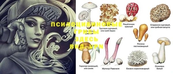 каннабис Абаза