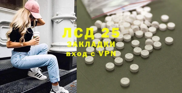 индика Приозерск